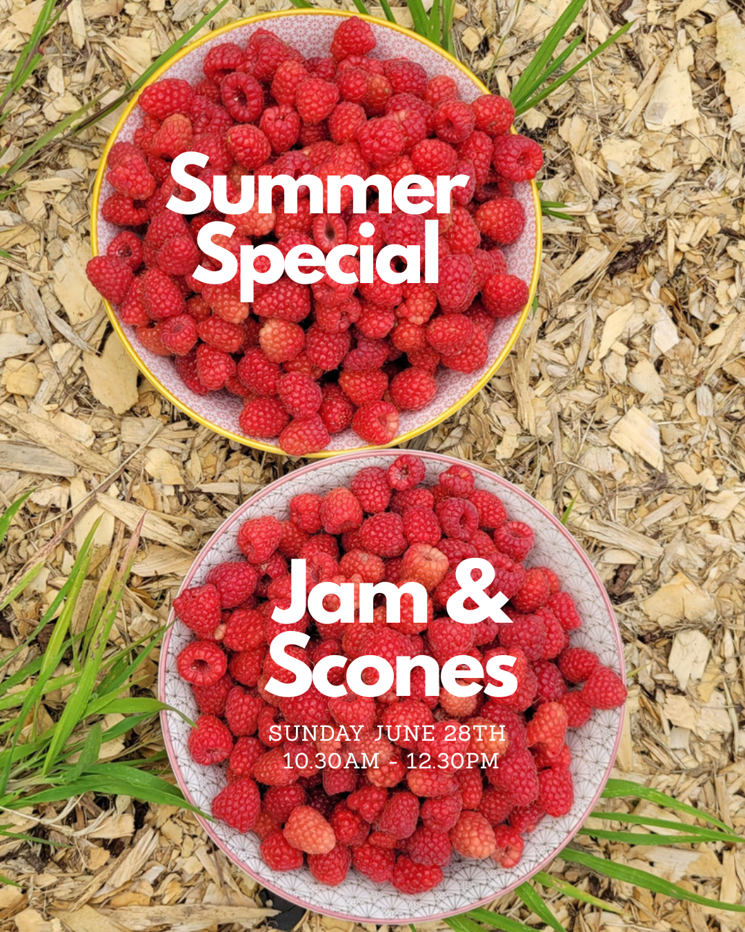 Kitchen Experience - Jam & Scones
